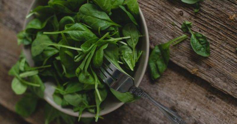 Freepik/Racool_studio